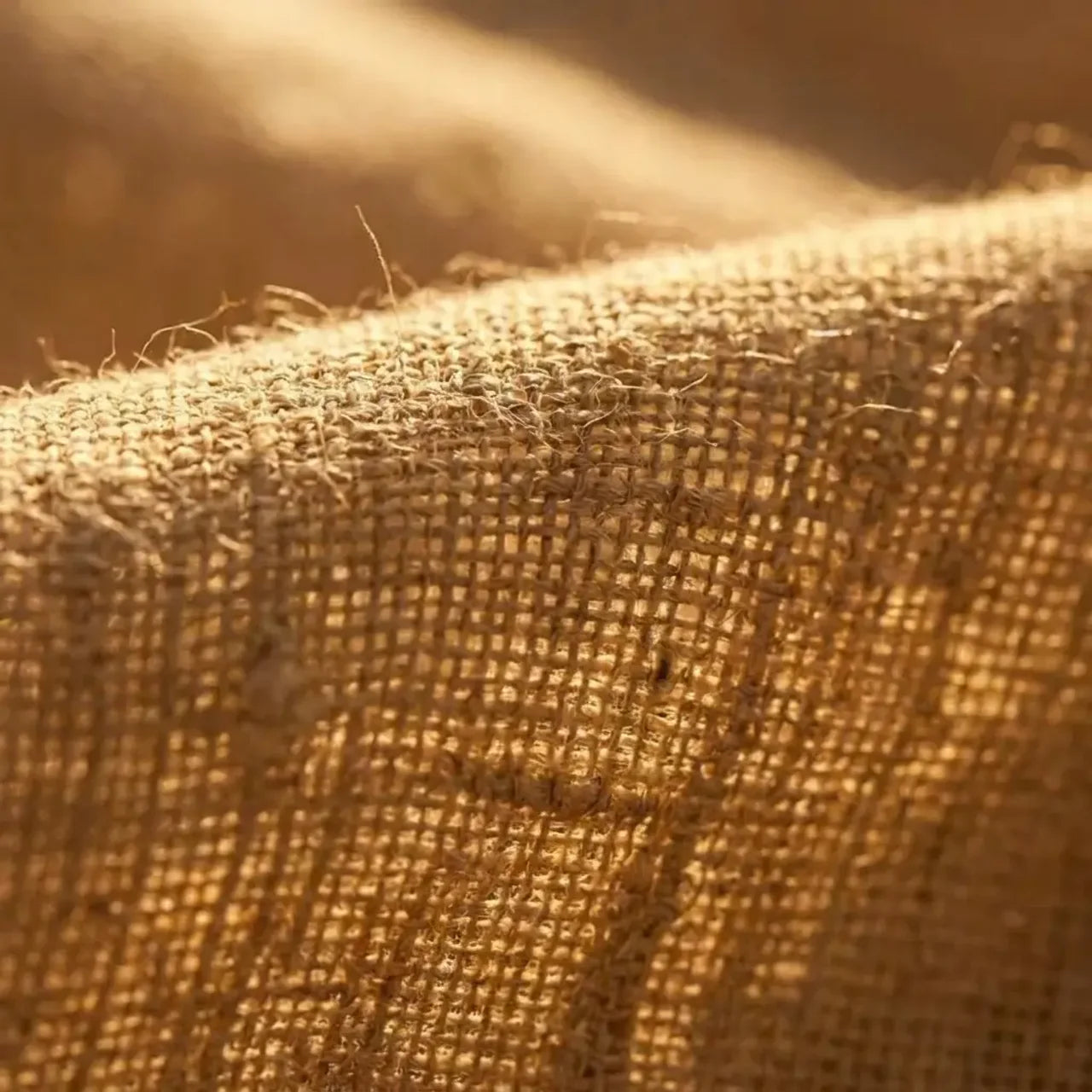Sun-Through Linen Pants